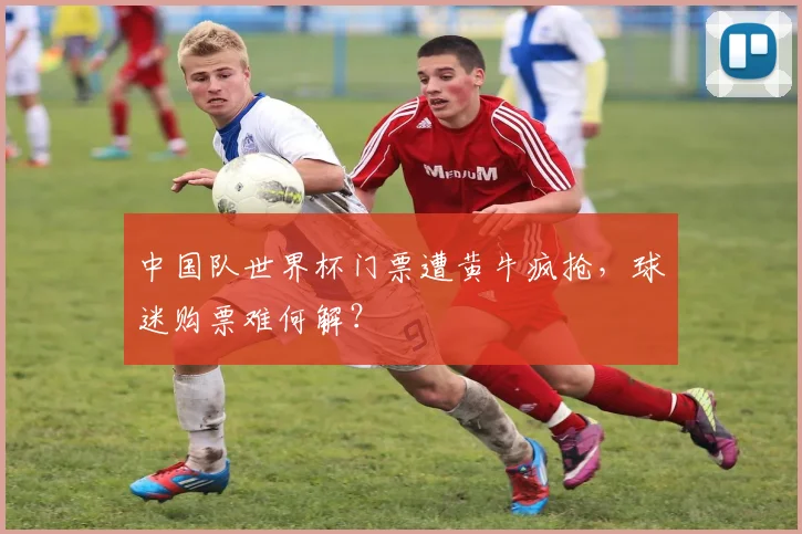 中国队世界杯门票遭黄牛疯抢，球迷购票难何解？