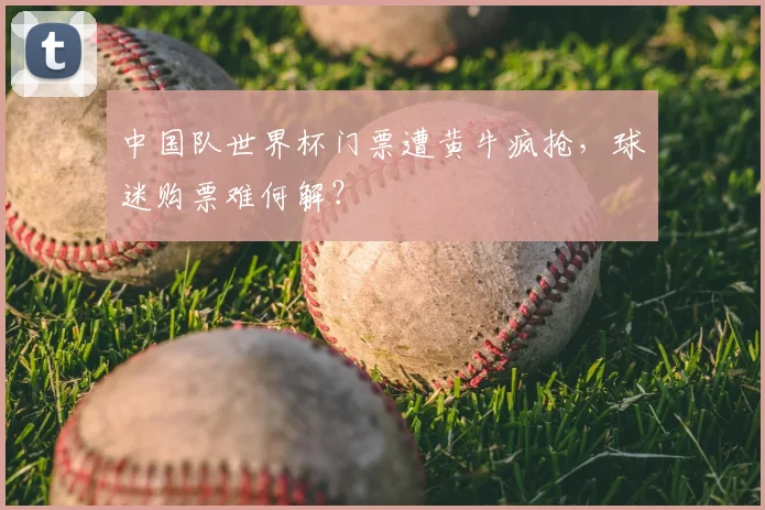 中国队世界杯门票遭黄牛疯抢，球迷购票难何解？